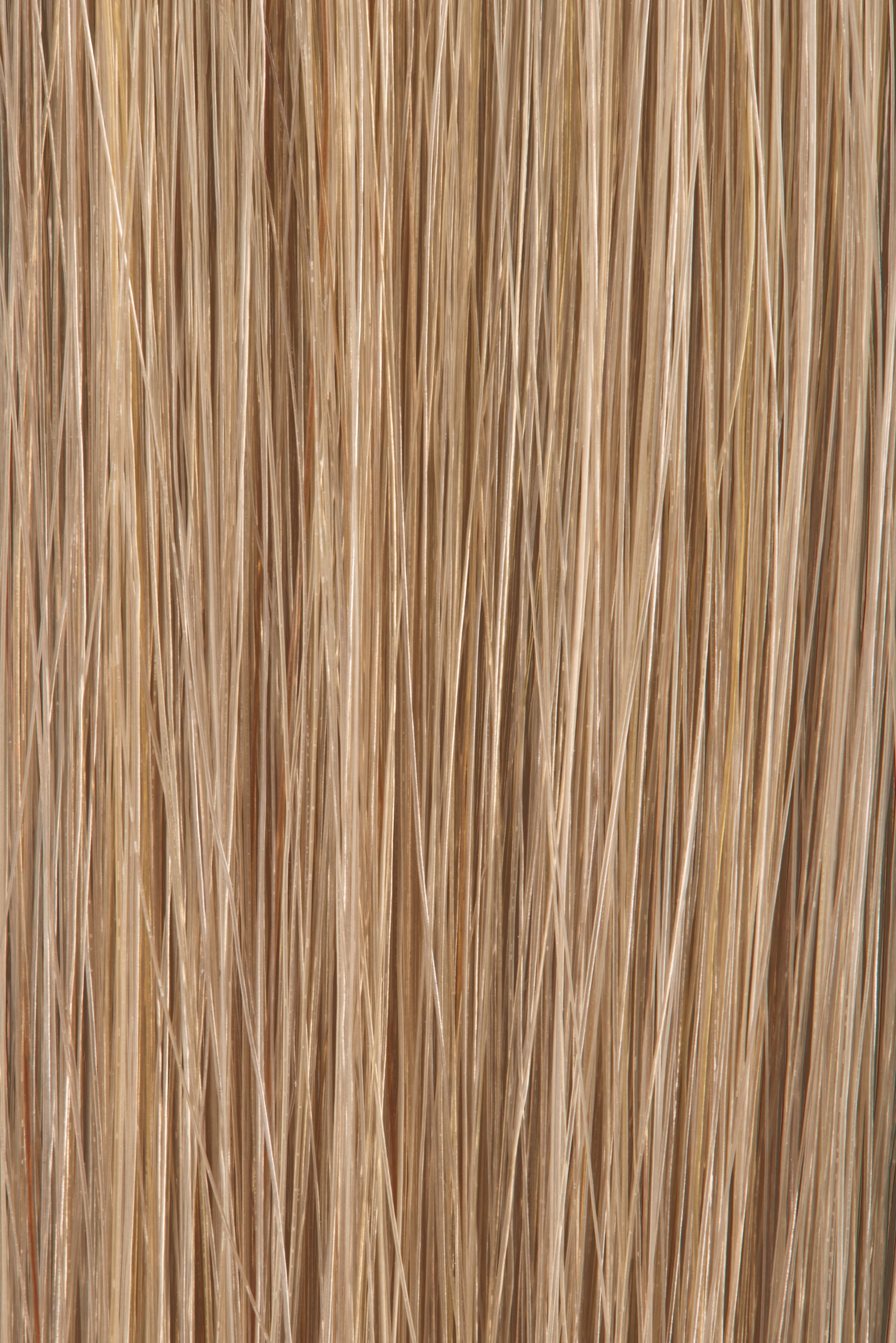 SABRINA - Sensual Tessitura